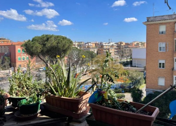 appartamento in vendita a Roma in zona Trionfale