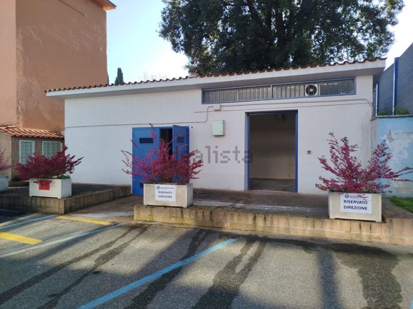 locale commerciale in vendita a Roma in zona Tor Vergata/Torrenova