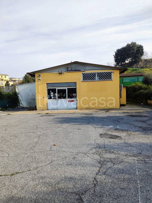 appartamento in vendita a Roma in zona Prima Porta