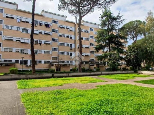 appartamento in vendita a Roma in zona Collatino