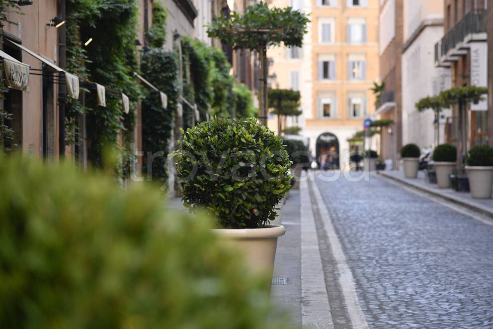 appartamento in vendita a Roma in zona Campo Marzio