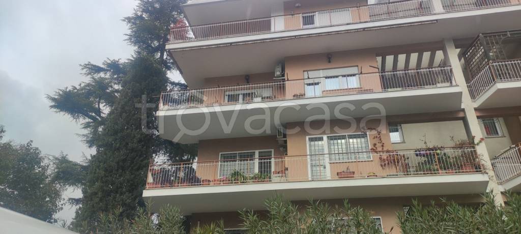 appartamento in vendita a Roma in zona Monte Sacro/Talenti