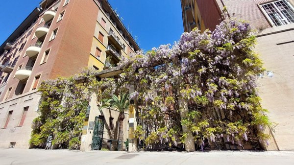 appartamento in vendita a Roma in zona Della Vittoria