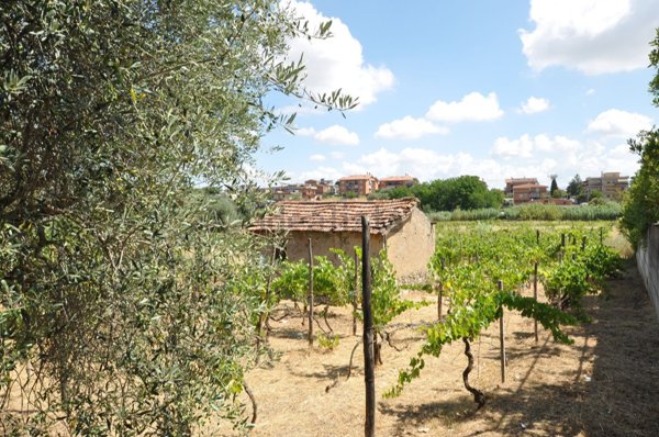 casa indipendente in vendita a Roma in zona Finocchio