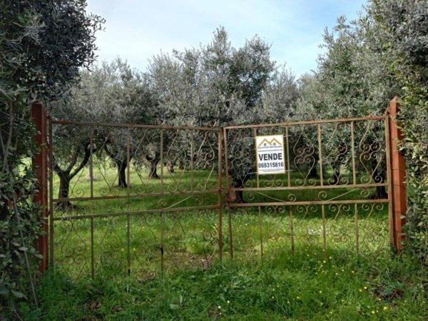 terreno agricolo in vendita a Roma