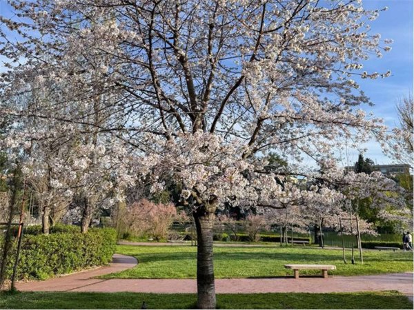 appartamento in vendita a Roma in zona EUR