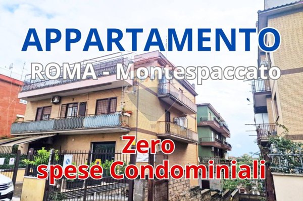 appartamento in vendita a Roma in zona Montespaccato