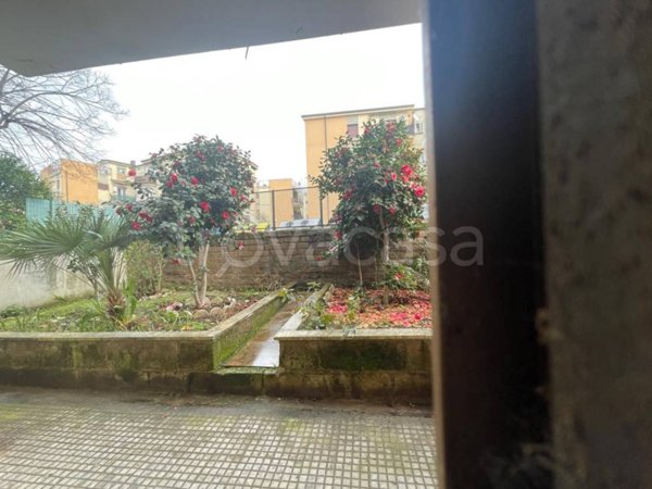 appartamento in vendita a Roma in zona Tor Sapienza