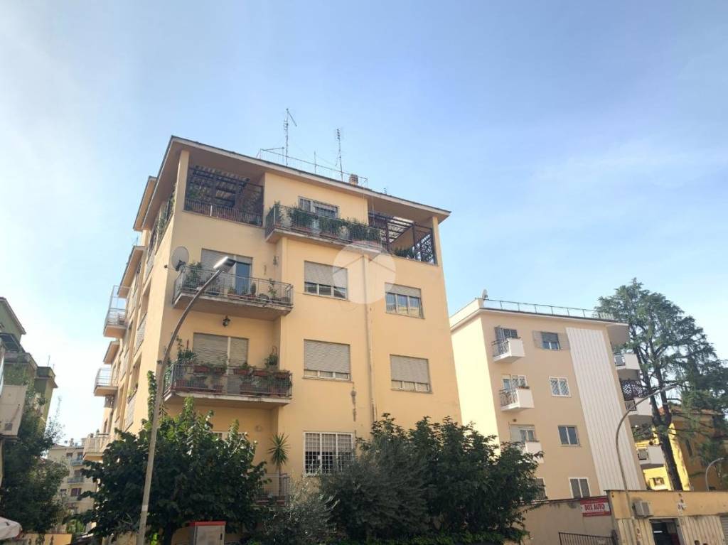 appartamento in vendita a Roma in zona Monte Sacro/Talenti
