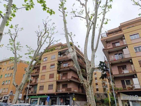 appartamento in vendita a Roma in zona Monte Sacro/Talenti