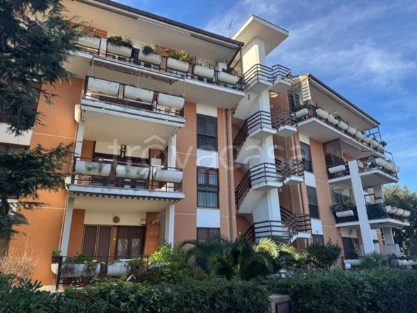 appartamento in vendita a Roma in zona Casal Palocco