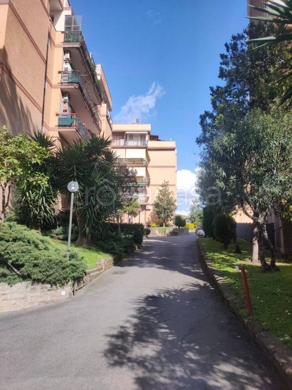 appartamento in vendita a Roma in zona Tuscolano