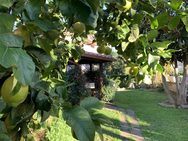 casa indipendente in vendita a Roma in zona Castel di Leva