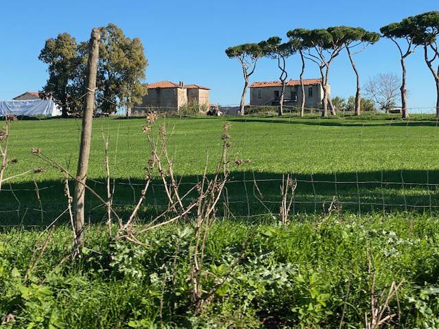 terreno agricolo in vendita a Roma in zona Acilia