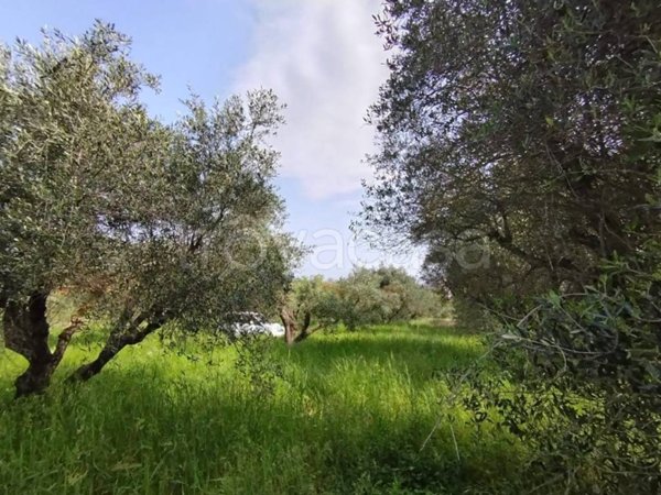 terreno agricolo in vendita a Roma in zona Finocchio