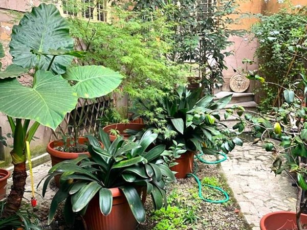 appartamento in vendita a Roma in zona Nomentano