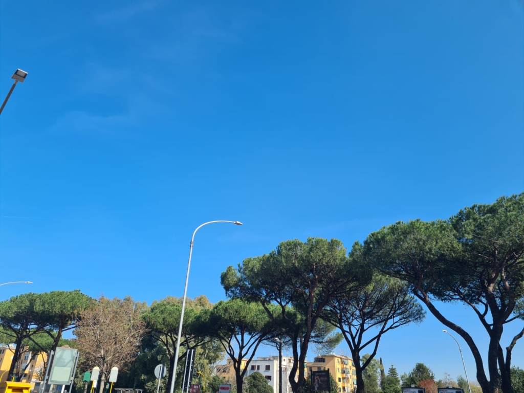 appartamento in vendita a Roma in zona Prenestino-Centocelle