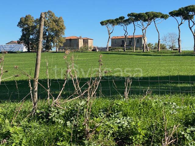 terreno agricolo in vendita a Roma in zona Dragona/Bagnoletto