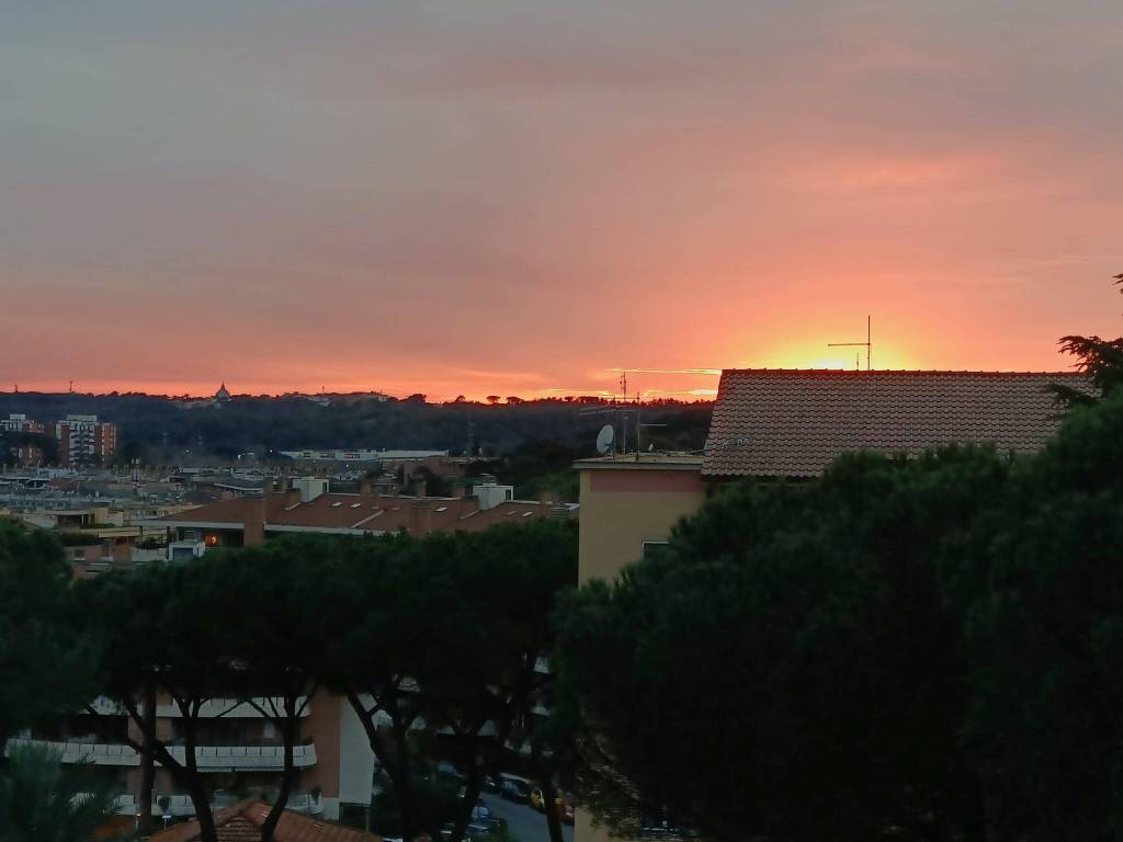 appartamento in vendita a Roma in zona Monte Sacro/Talenti