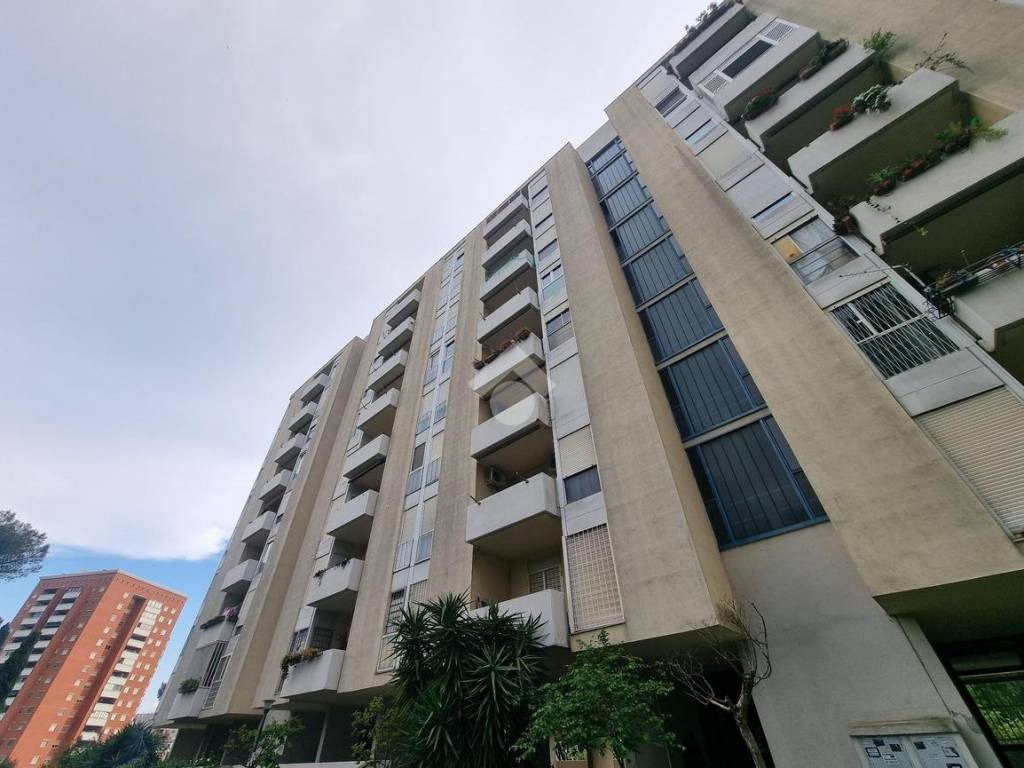 appartamento in vendita a Roma in zona EUR