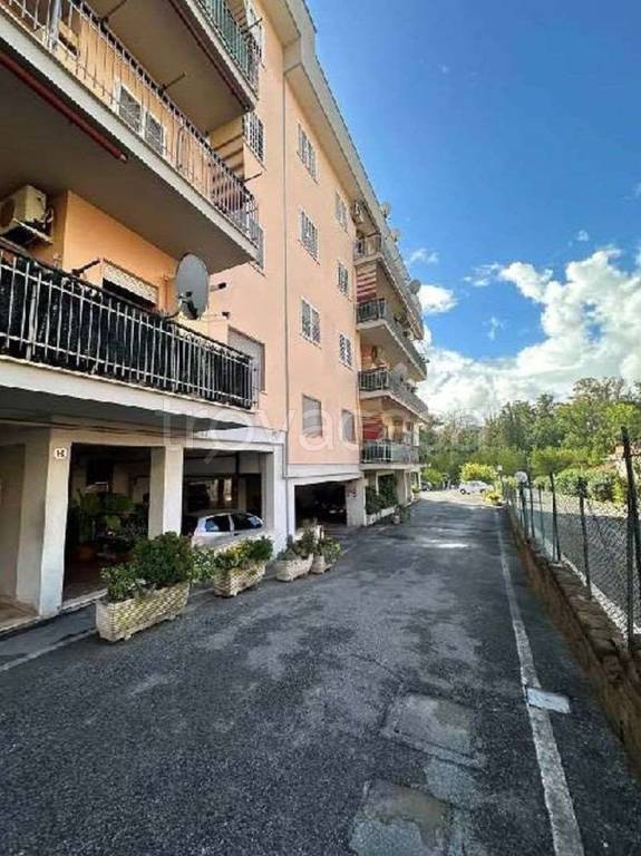 appartamento in vendita a Roma in zona Casalotti