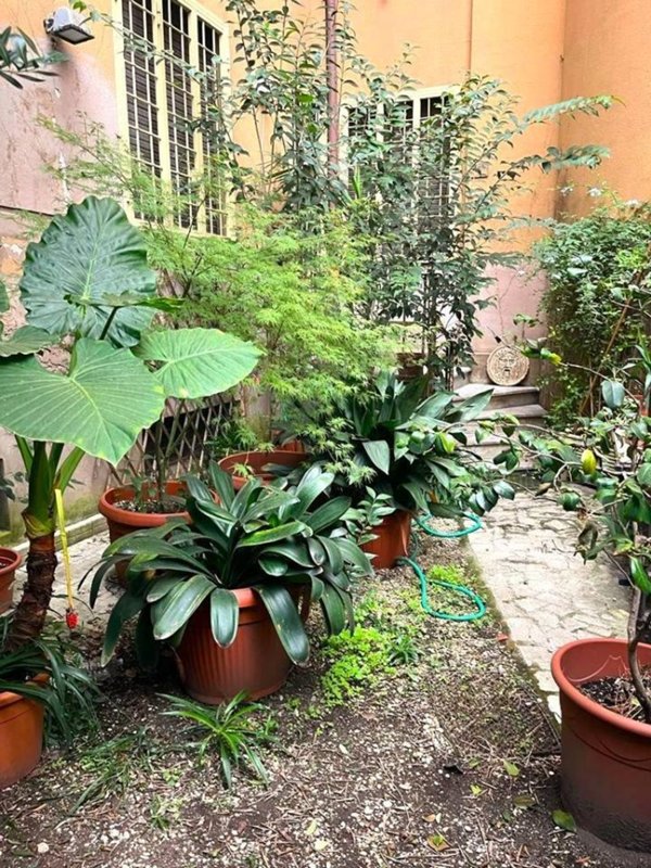 appartamento in vendita a Roma in zona Nomentano