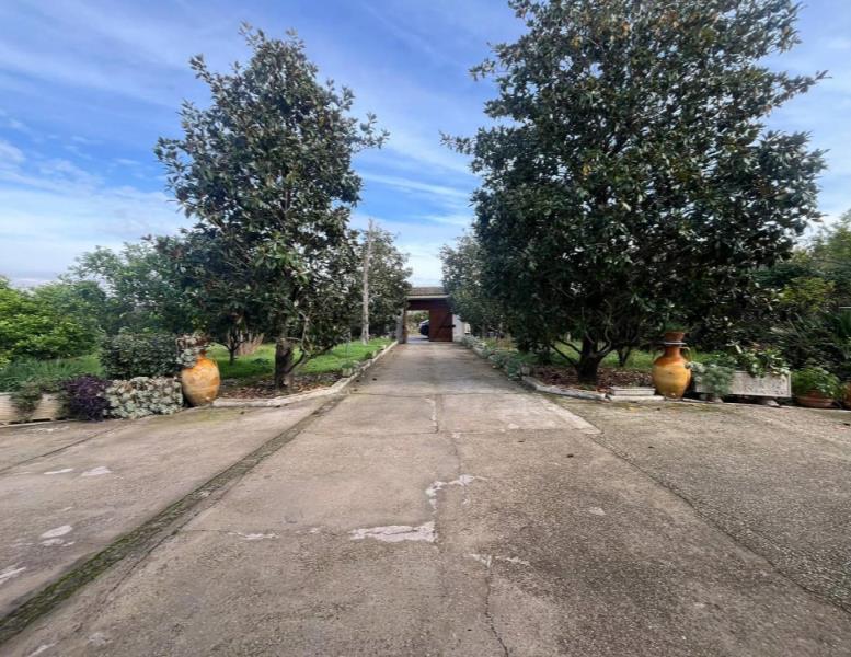 casa indipendente in vendita a Roma in zona Ostia Antica