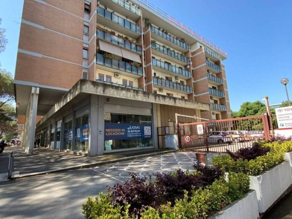 appartamento in vendita a Roma in zona Ardeatino