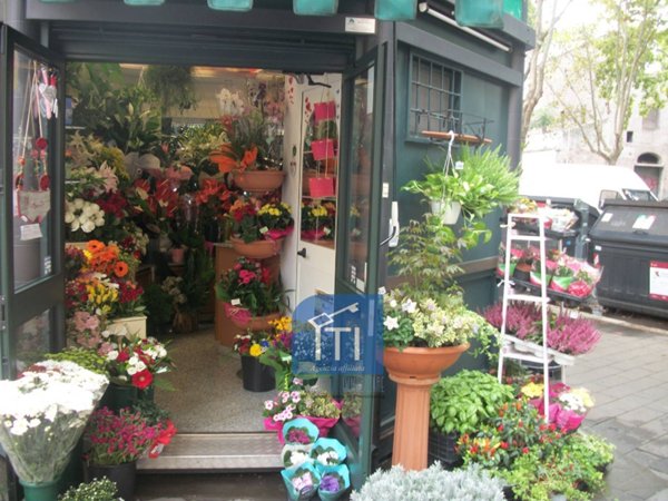 negozio in vendita a Roma in zona Appio Latino