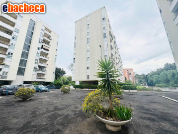 appartamento in vendita a Roma in zona EUR
