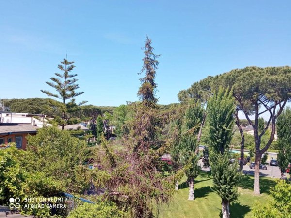 appartamento in vendita a Roma in zona Casal Palocco