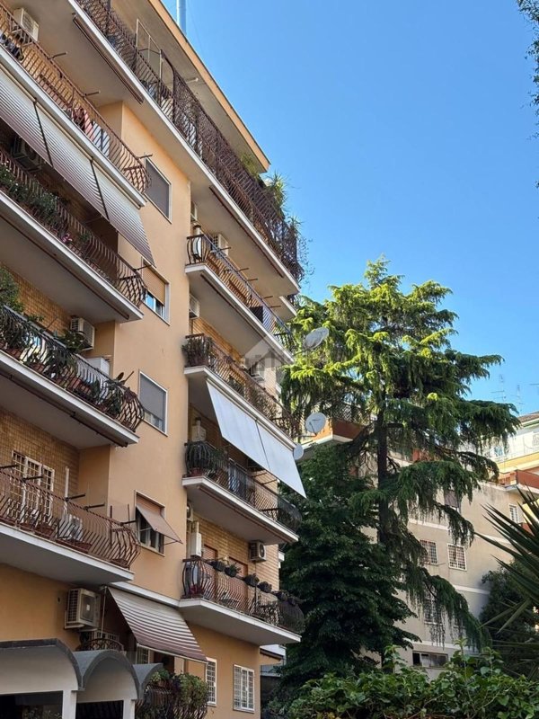 appartamento in vendita a Roma in zona Monte Sacro/Talenti
