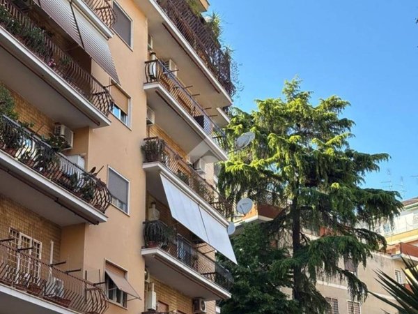 appartamento in vendita a Roma in zona Monte Sacro/Talenti