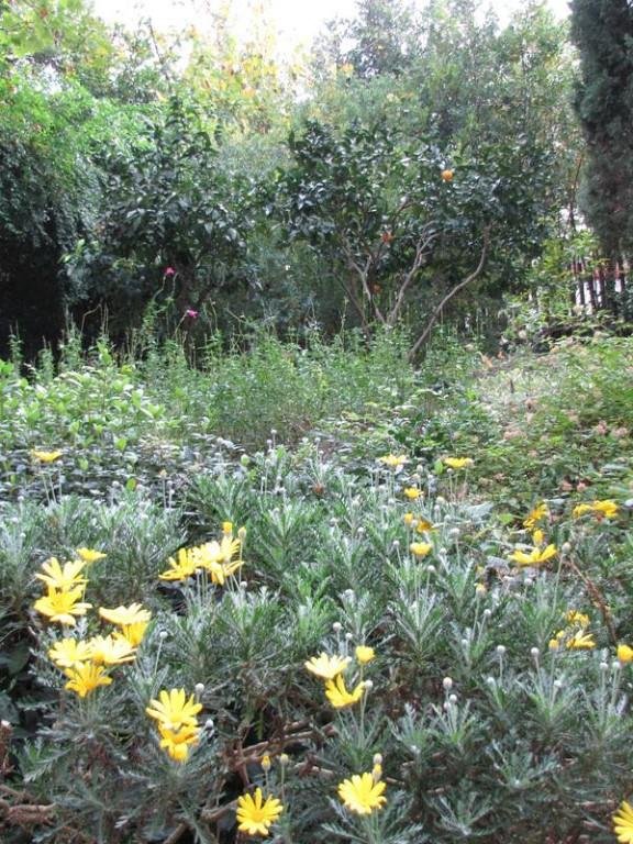 appartamento in vendita a Roma in zona EUR