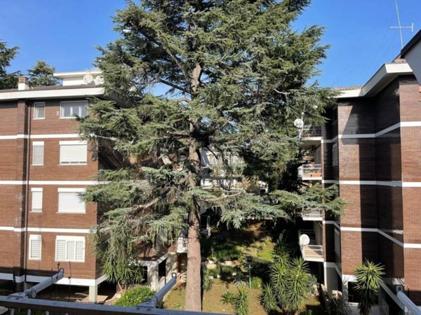 appartamento in vendita a Roma in zona Salario