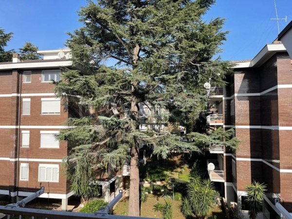 appartamento in vendita a Roma in zona Salario