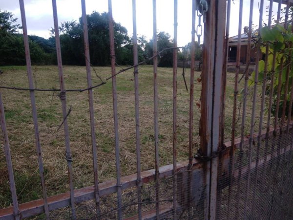terreno agricolo in vendita a Roma in zona Tor Vergata/Torrenova
