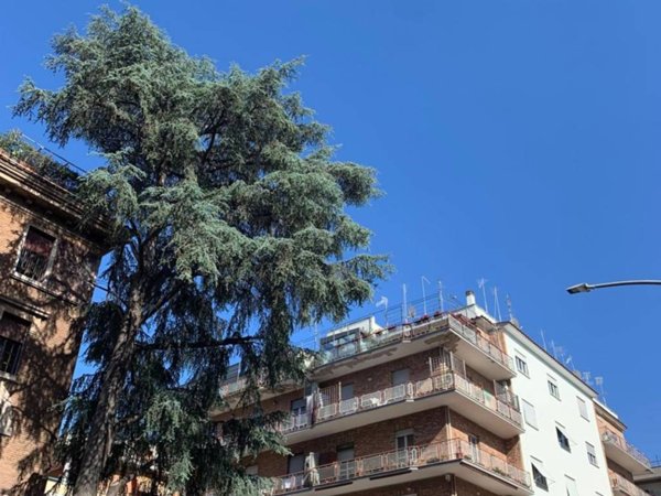 appartamento in vendita a Roma in zona Appio Latino