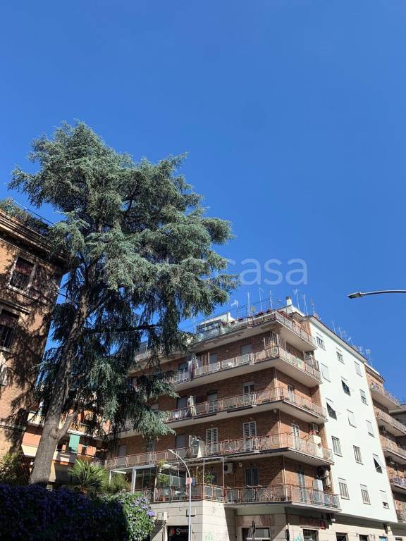 appartamento in vendita a Roma in zona Appio Latino