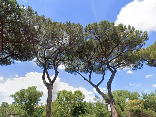 appartamento in vendita a Roma in zona Campo Marzio