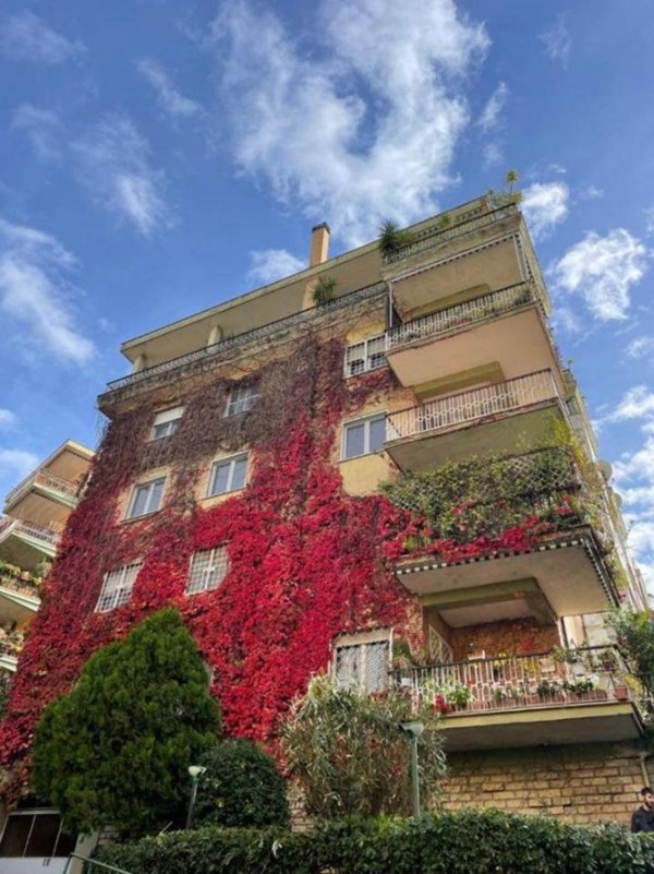 appartamento in vendita a Roma in zona Tomba di Nerone