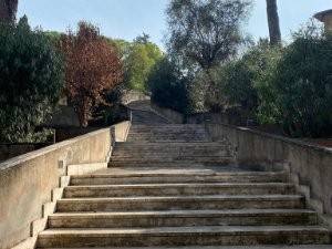 appartamento in vendita a Roma in zona Torrevecchia