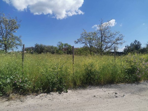terreno agricolo in vendita a Roma in zona Infernetto