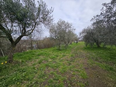 negozio in vendita a Roma