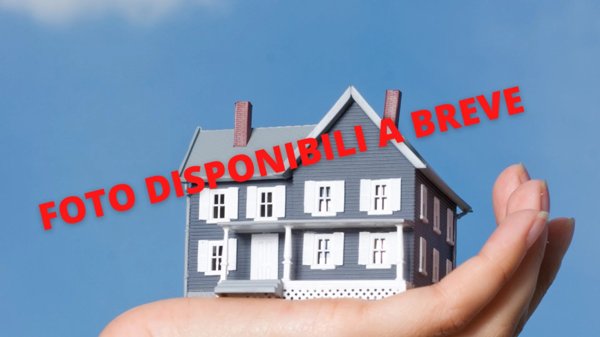 appartamento in vendita a Roma in zona Campo Marzio
