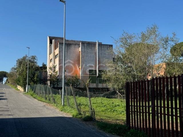 immagine annuncio 0 di 12
