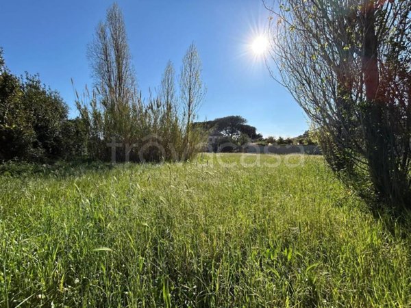 terreno agricolo in vendita a Roma in zona Infernetto