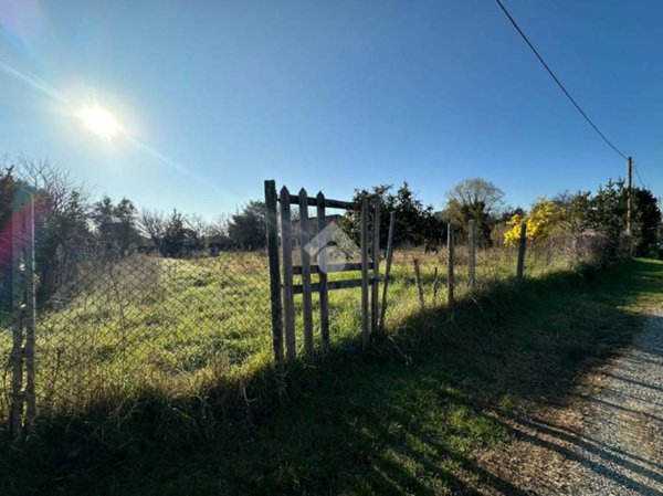 terreno agricolo in vendita a Roma in zona Casal Palocco