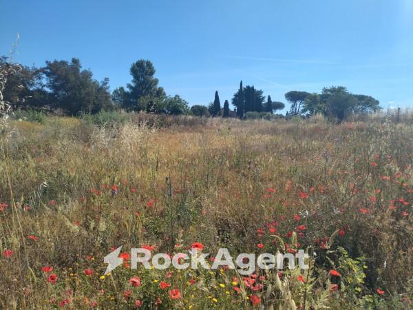 negozio in vendita a Roma in zona Castel di Leva