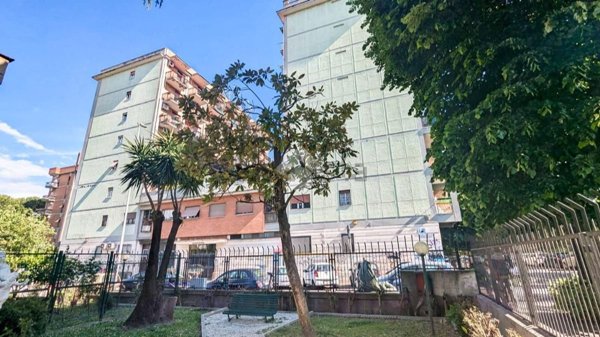 appartamento in vendita a Roma in zona Tuscolano
